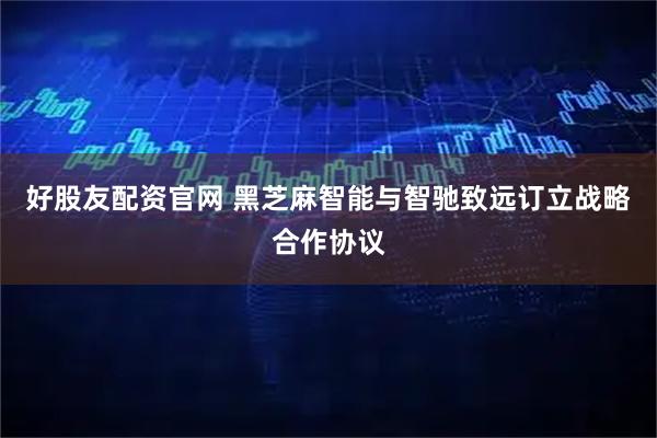 好股友配资官网 黑芝麻智能与智驰致远订立战略合作协议