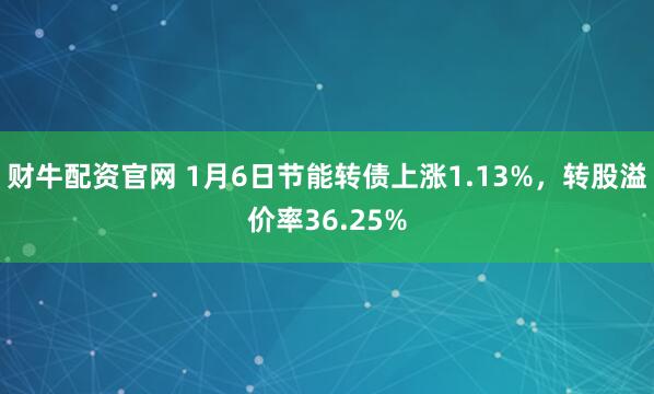 财牛配资官网 1月6日节能转债上涨1.13%，转股溢价率36.25%